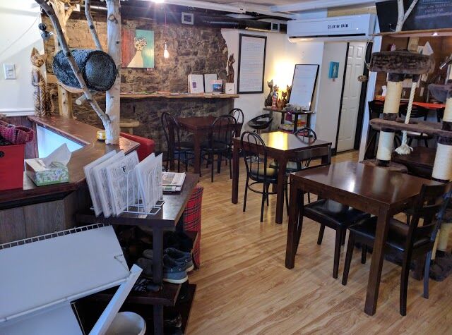 Cafe Felin Ma Langue Aux Chats